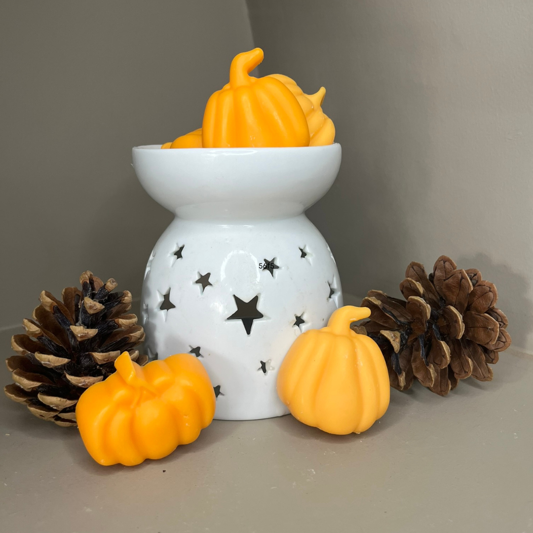 Seasonal Pumpkin Spice Large Wax Melts - Nude Flame Candles