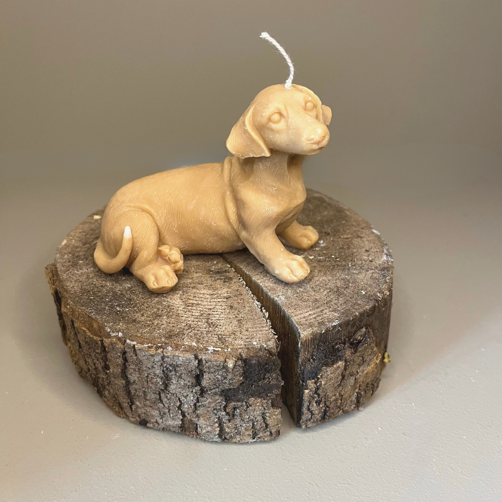 Miniature Dachshund Candle & Wax Melts Bundle - Nude Flame Candles