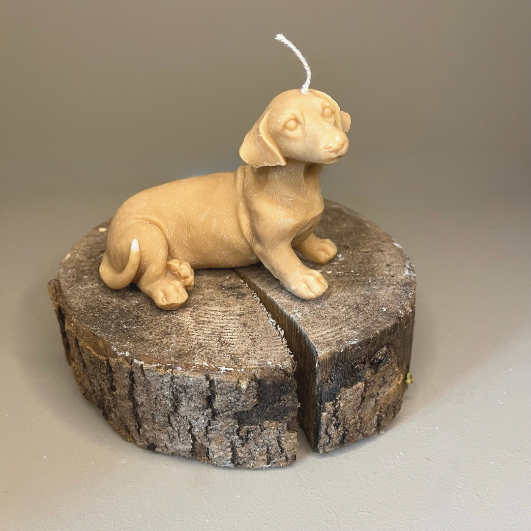 Miniature Dachshund Candle & Wax Melts Bundle - Nude Flame Candles
