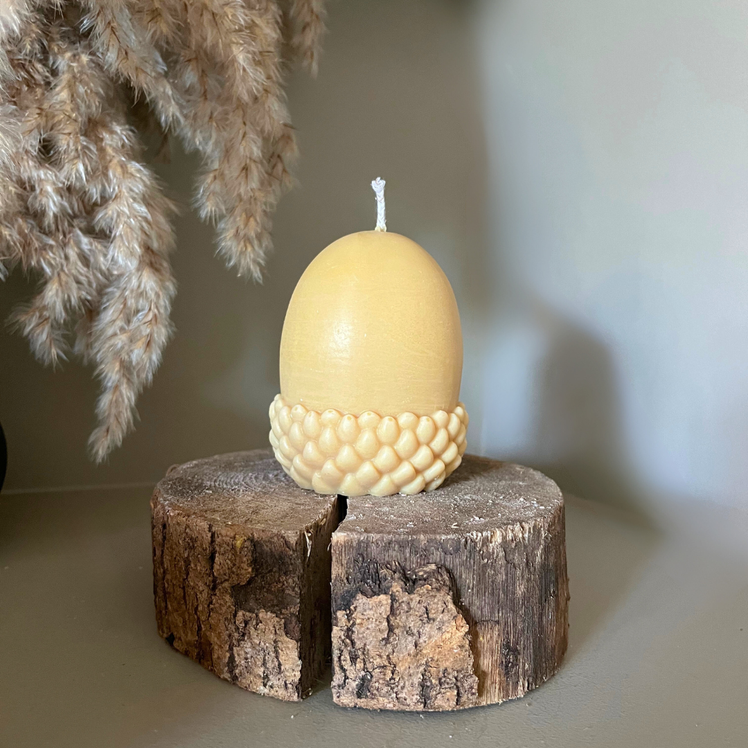 Woodland Acorn Soy Candle - Nude Flame Candles