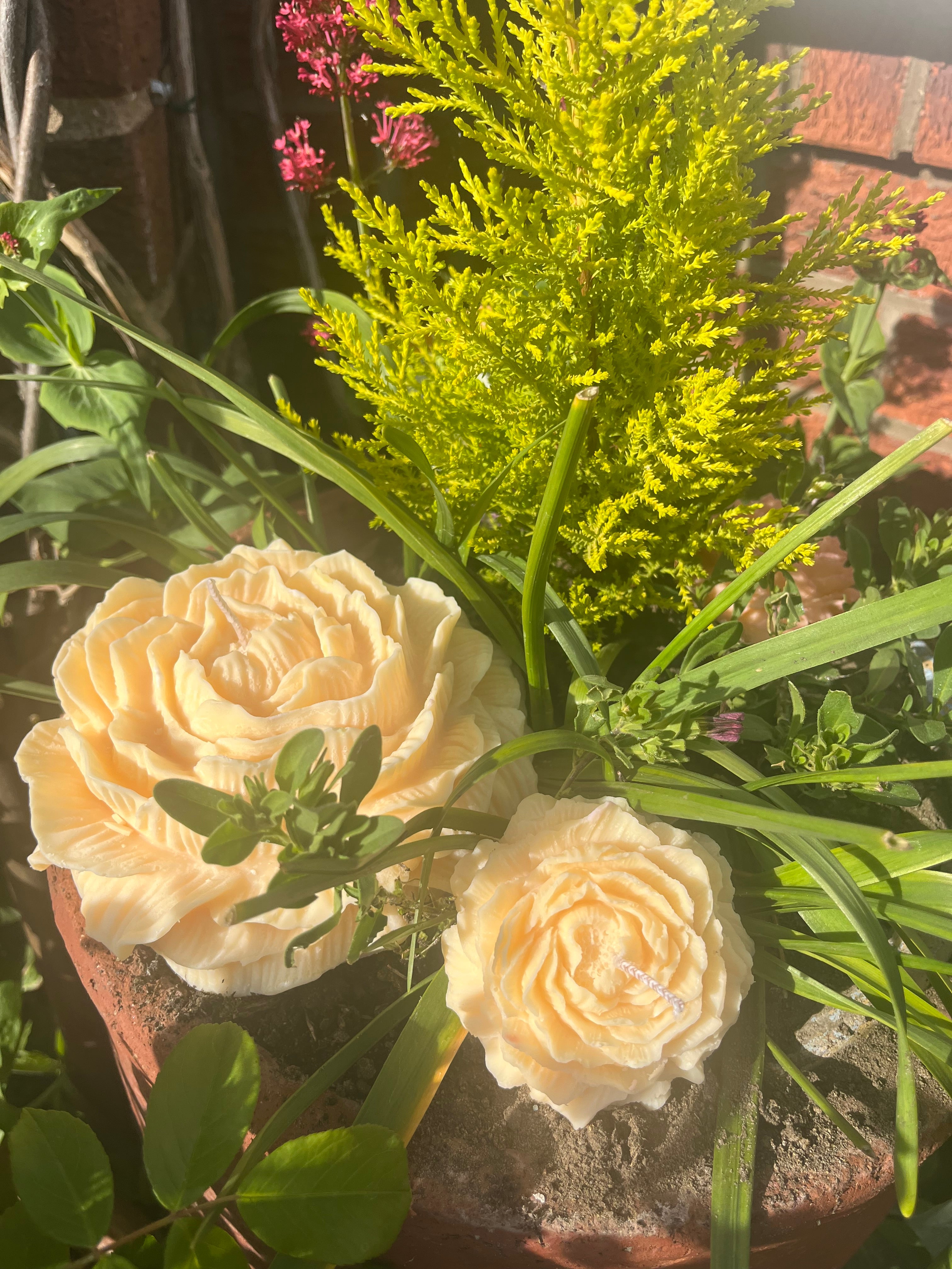 Peony Rose Bundle Scented Soy Candles - Nude Flame Candles