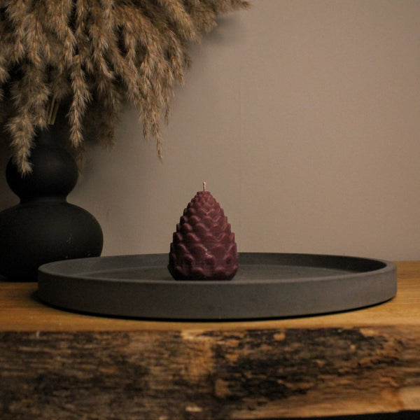 Pinecone Winter Soy Candle