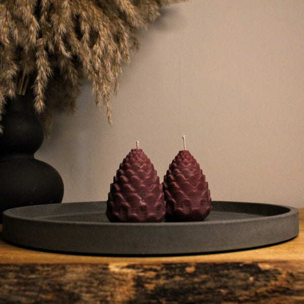 Pinecone Winter Soy Candle